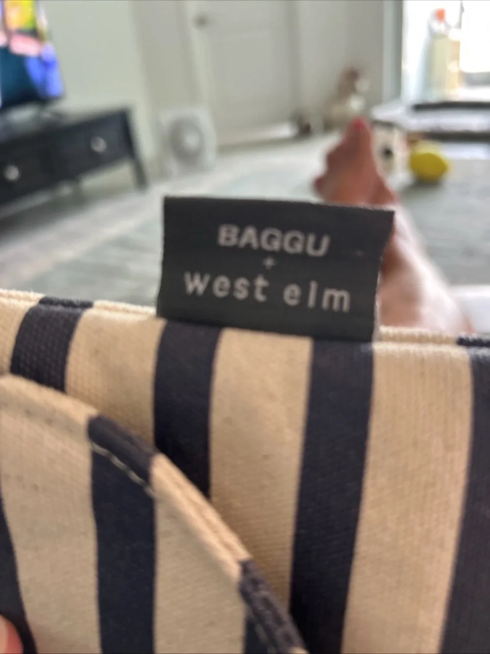 BAGGU Navy and Cream Striped Canvas Pouch with Label